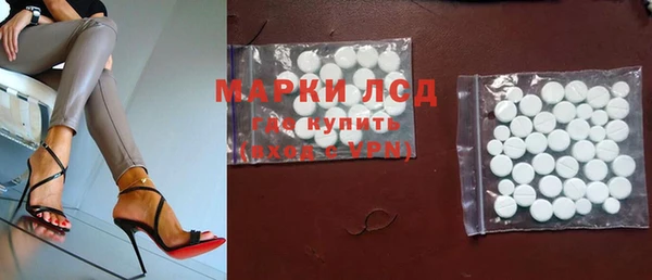 хмурый Белокуриха