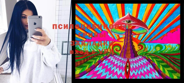 стаф Беломорск