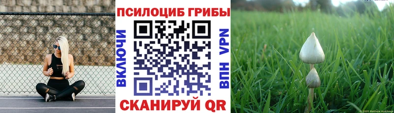 Галлюциногенные грибы Cubensis цены наркотик Крымск